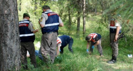 Sağlık personeli, ormanlık alanda intihar etti